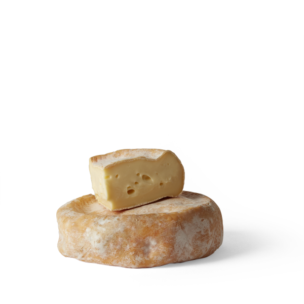 YARLINGTON Cheese